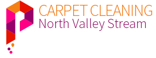 carpetcleaningnorthvalleystream.com